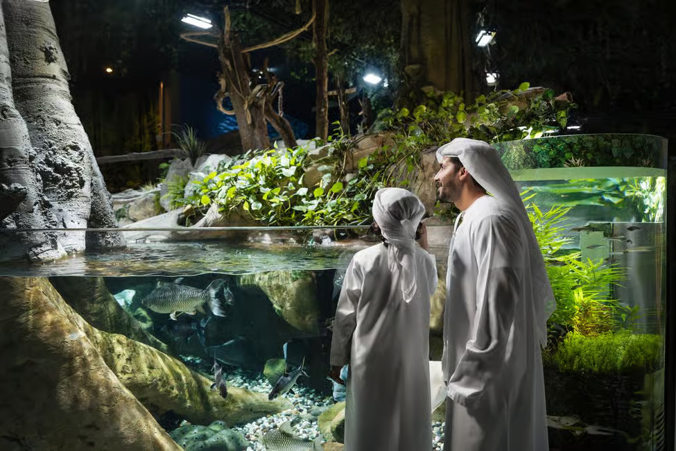 Aquarium and Underwater Zoo Experience